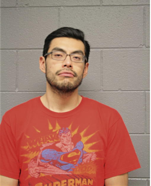 ALFREDO O REYES, Cook County, Illinois