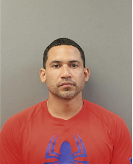 ALEX J RODRIGUEZ, Cook County, Illinois