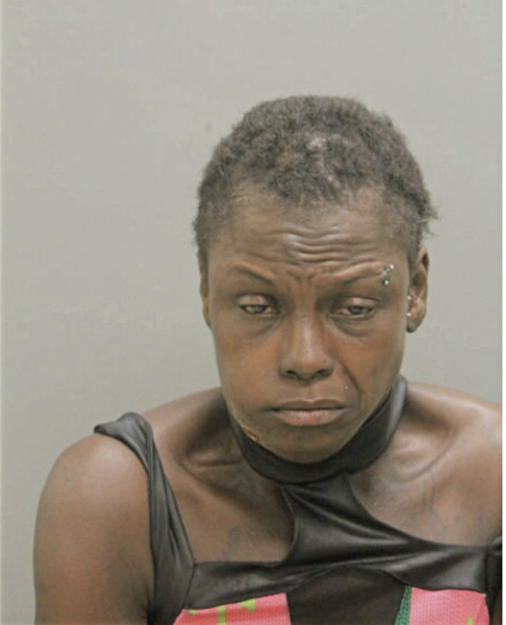 GEISHA T ROSS, Cook County, Illinois