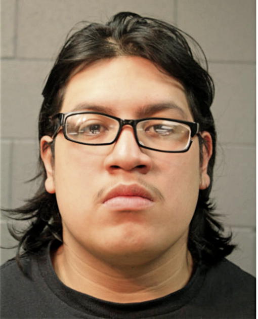 TERRY SOSA, Cook County, Illinois