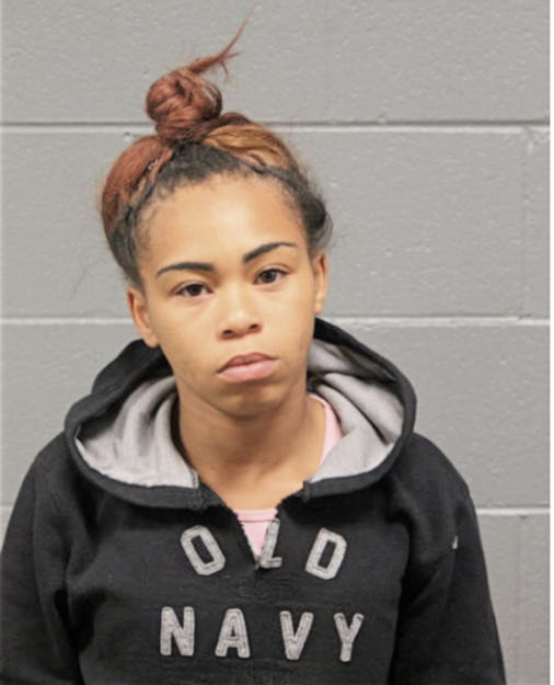 LYNDA A TRIMUEL, Cook County, Illinois
