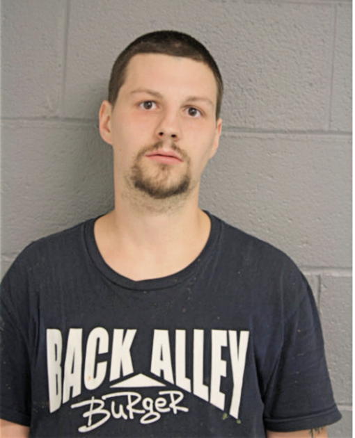 MICHAEL N TWIST, Cook County, Illinois