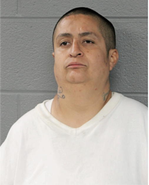 MARIA E ZAVALA, Cook County, Illinois