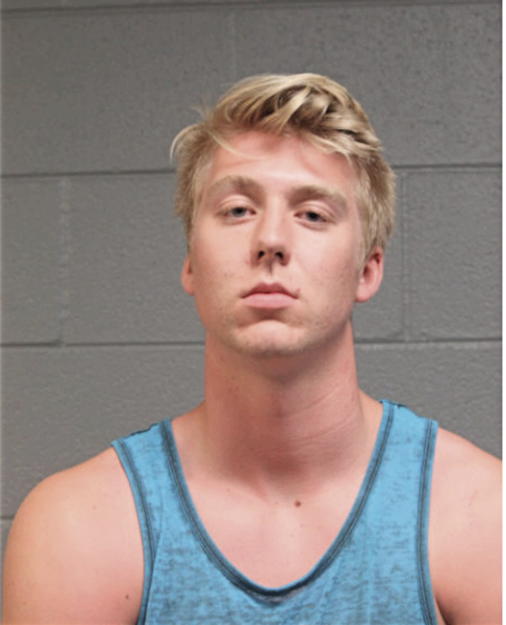 NICHOLAS T ANDERSON, Cook County, Illinois
