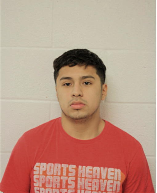 PEDRO BAHENA, Cook County, Illinois