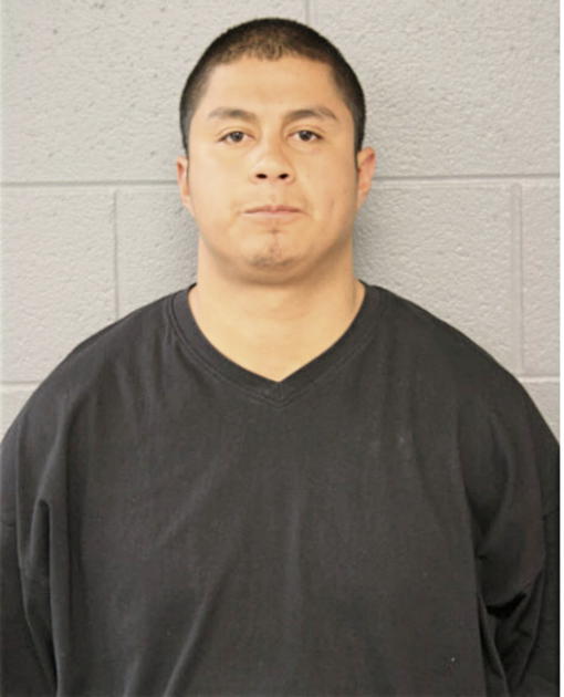 OMAR BERRONES, Cook County, Illinois