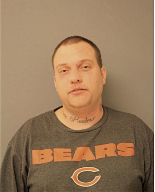 KYLE J CAROLAN, Cook County, Illinois