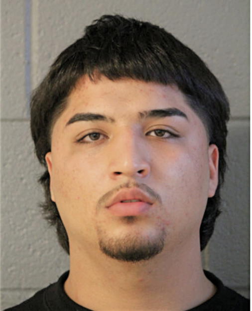 JESUS CASTANEDA, Cook County, Illinois
