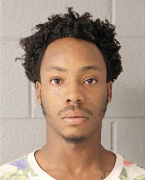 DARIUS J DIXON, Cook County, Illinois