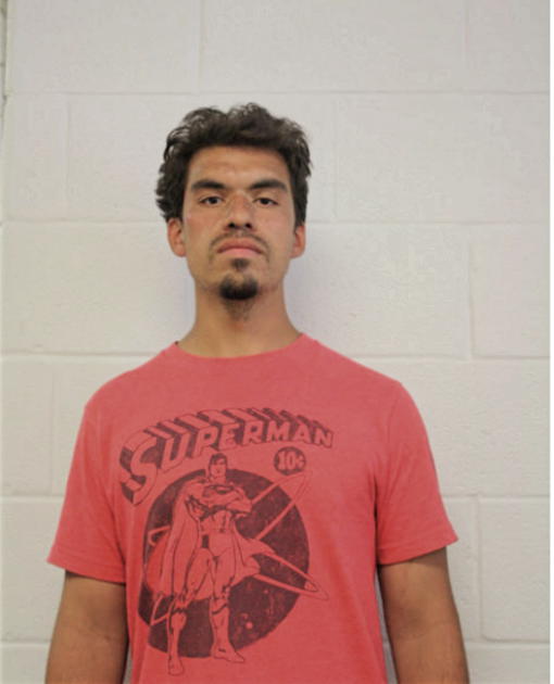 ROBERT T GONZALES, Cook County, Illinois