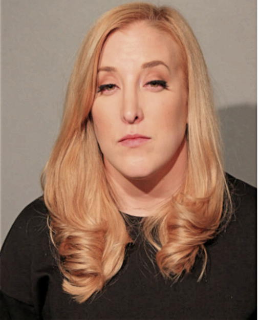 MEGAN H HUCHINGSON, Cook County, Illinois