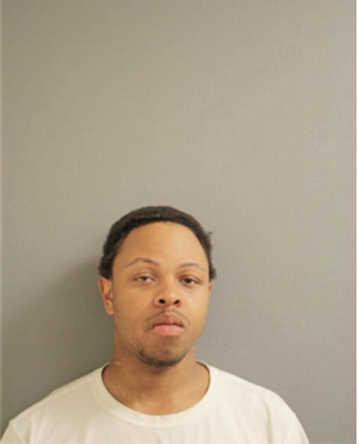 DESHAUN A MCGEE, Cook County, Illinois