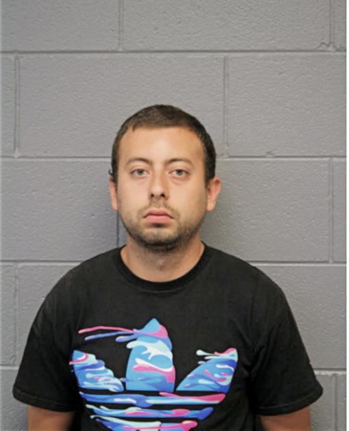 MICHAEL DOUGLAS ORTIZ, Cook County, Illinois