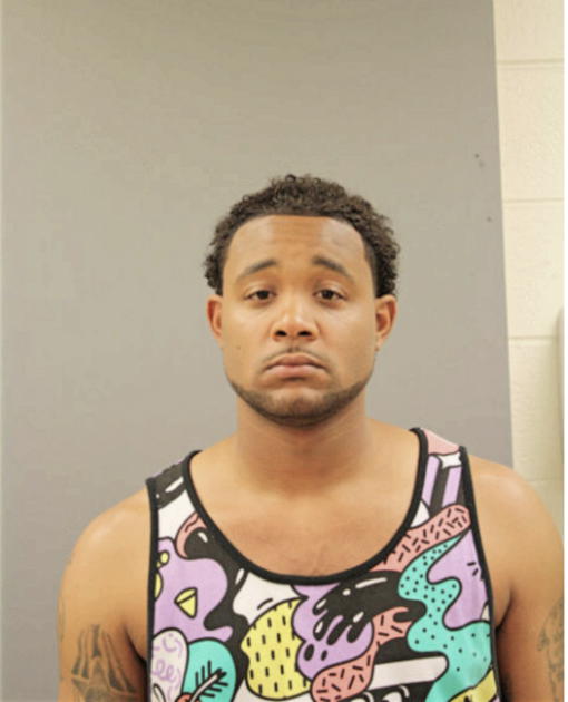 DERRICK B REESE, Cook County, Illinois