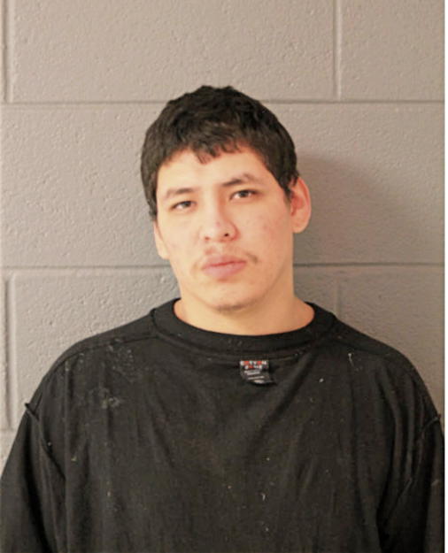 CHRISTIAN E RODRIGUEZ, Cook County, Illinois