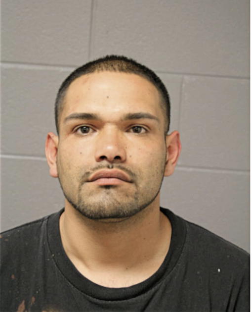 GONZALO RUIZ, Cook County, Illinois