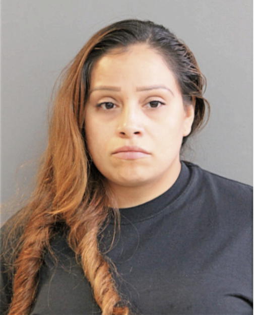 INES VILLANUEVA, Cook County, Illinois