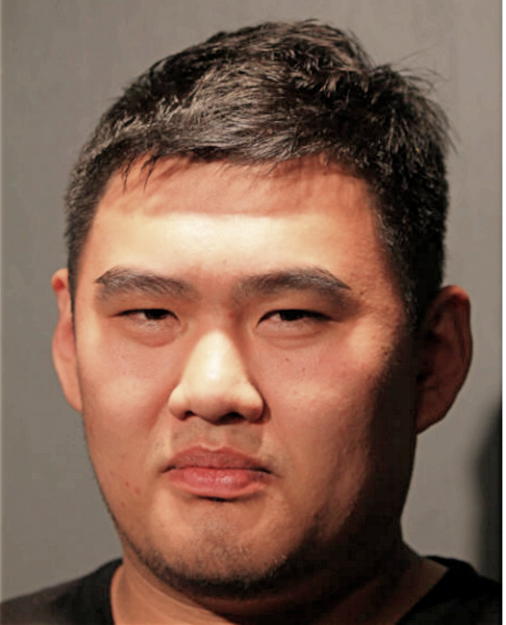 JIAQIAN XING, Cook County, Illinois