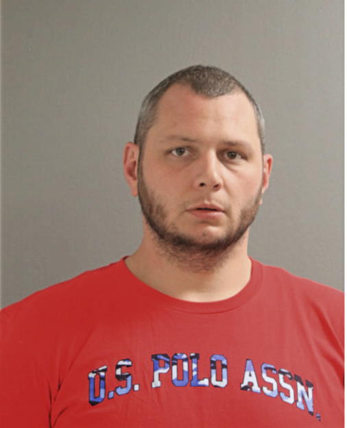 JOSHUA M ZIEMER, Cook County, Illinois