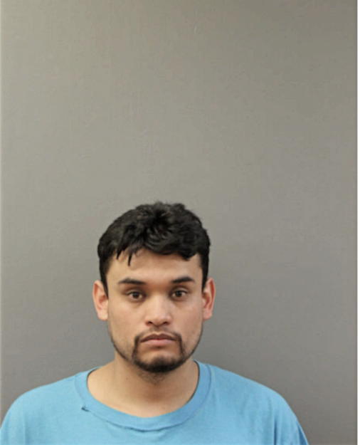 JOSE ALONSO, Cook County, Illinois
