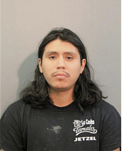 JESUS G AMAYA, Cook County, Illinois