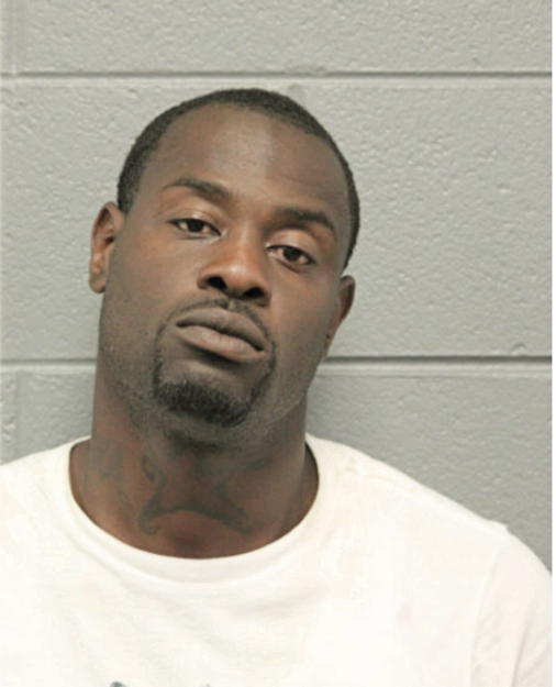 PAUL L ANDERSON, Cook County, Illinois