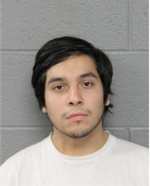 ESTEBAN BASALDUA, Cook County, Illinois