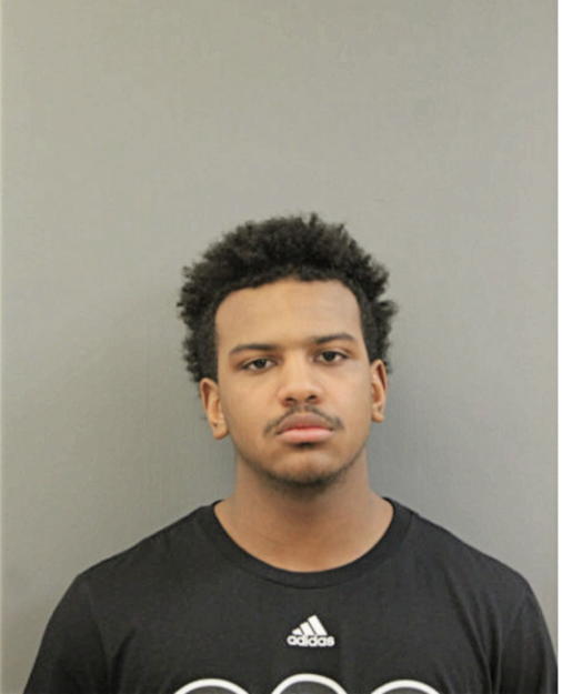 DONOVAN N BROWN, Cook County, Illinois