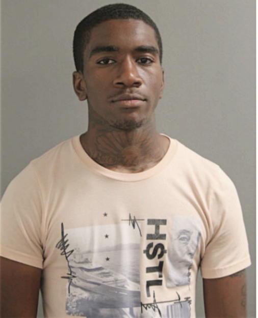 LESEAN D BROWN, Cook County, Illinois