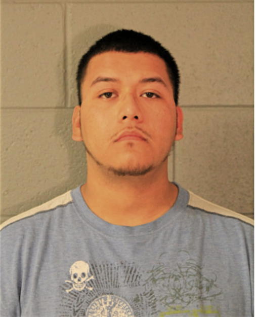 DANIEL A CARRASCO, Cook County, Illinois