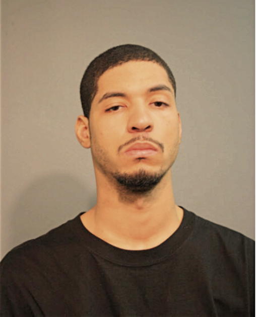 AHKEM N DANIELS, Cook County, Illinois