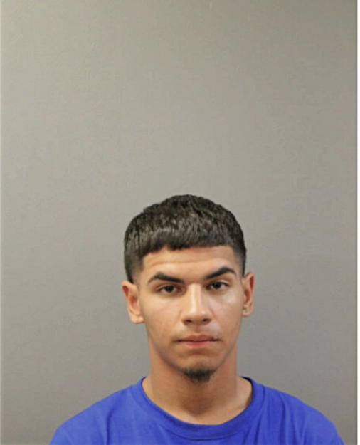 LUIS DIAZ, Cook County, Illinois