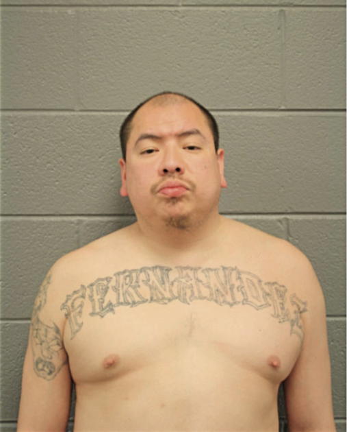 JOSE L FERNANDEZ, Cook County, Illinois