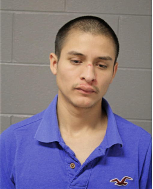 LUCIO FUENTES-ROMAN, Cook County, Illinois