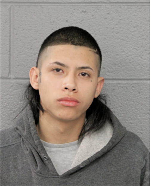 HUMBERTO GAMINO, Cook County, Illinois