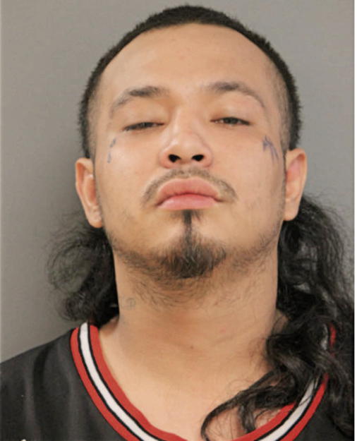 WILLIE GONZALEZ, Cook County, Illinois