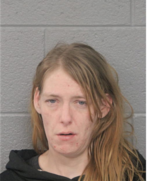 SHANNON M HEGE, Cook County, Illinois