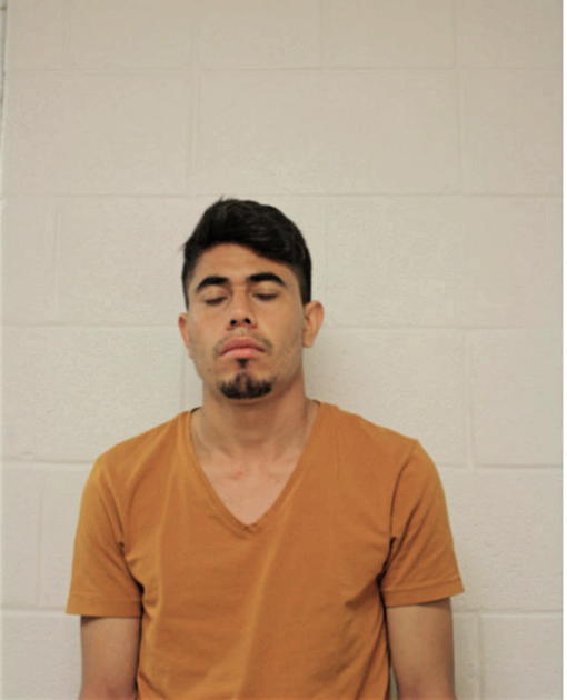 LISANDRO HERNANDEZ, Cook County, Illinois