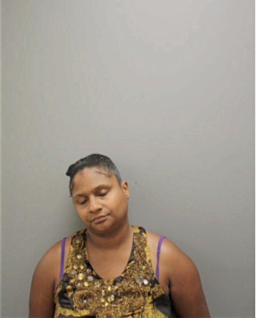MICHELLE A JOHNSON, Cook County, Illinois