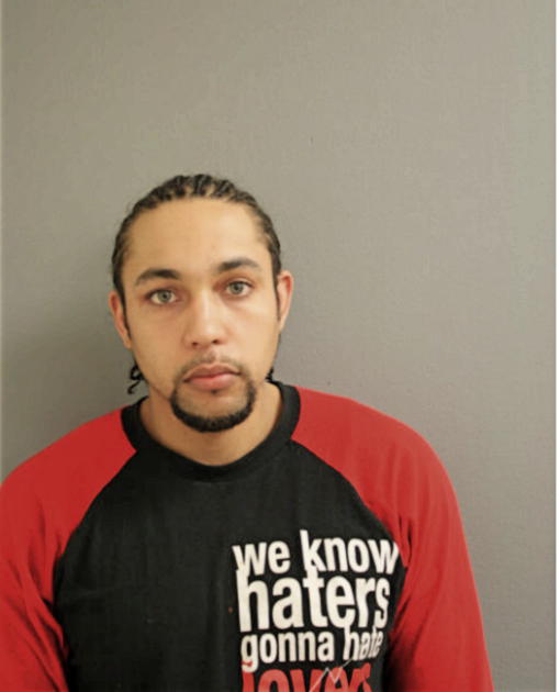 SHAHEED ANTHONY JOHNSON, Cook County, Illinois