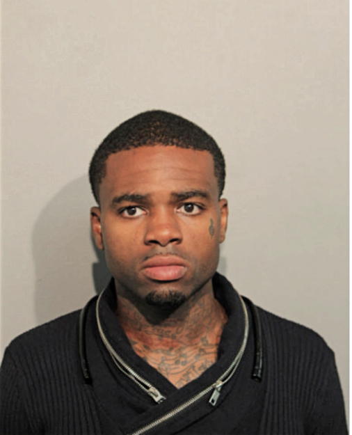 CHRISTOPHER D LAWSON, Cook County, Illinois