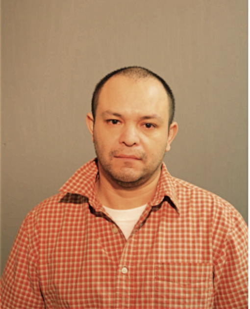 EDVIN R MEJICANOS, Cook County, Illinois
