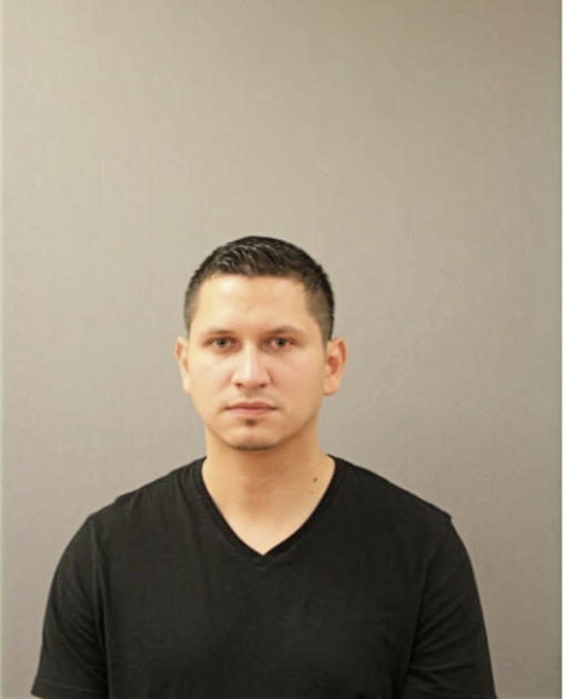 FABIO C MORALES, Cook County, Illinois