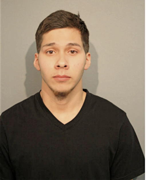 WESLEY W NASKY, Cook County, Illinois