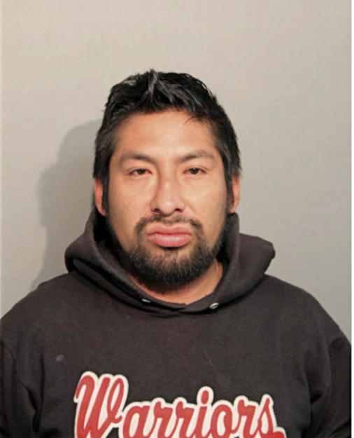 FREDY A REYES, Cook County, Illinois