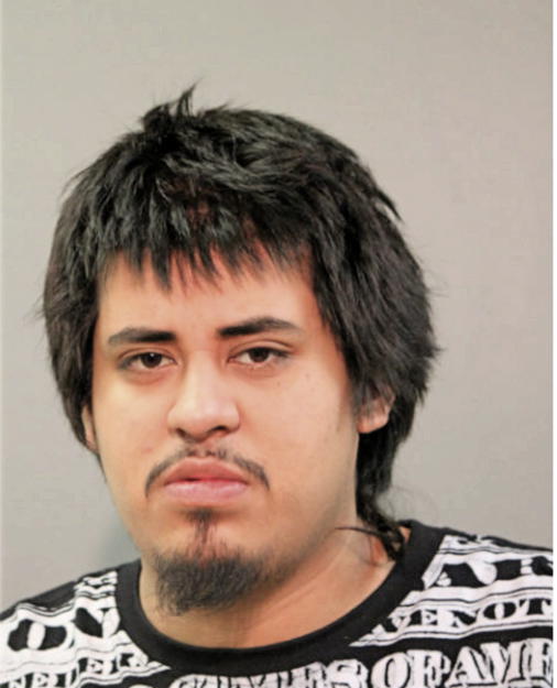 RAUL RODRIGUEZ, Cook County, Illinois