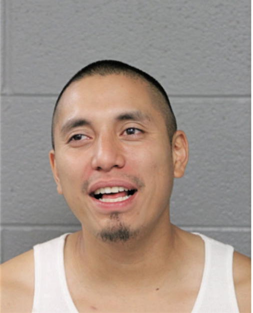 ADONIS SALGADO, Cook County, Illinois