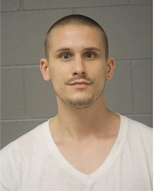 CHARLES M SLUKIS, Cook County, Illinois