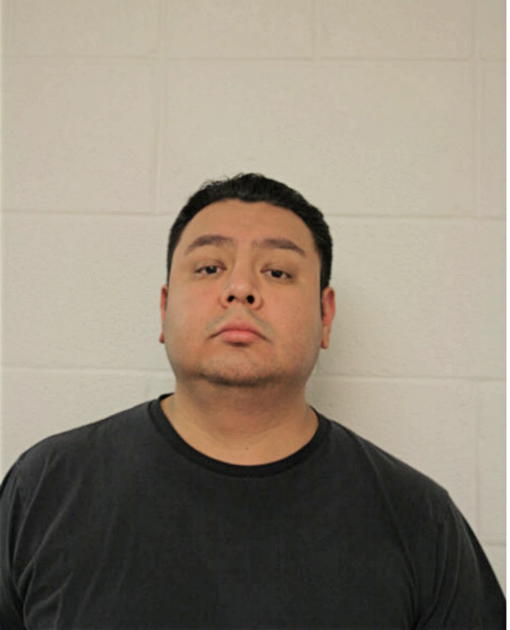 ENRIQUE SOSA, Cook County, Illinois