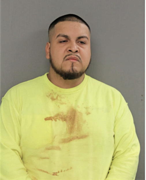 NOE TAMAYO, Cook County, Illinois